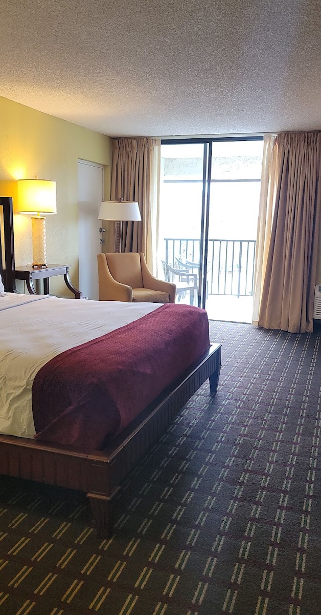 Pet friendly extended stay room at The Vue Lake Tarpon